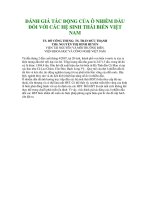 ĐÁNH GIÁ TÁC ĐỘNG CỦA Ô NHIỄM DẦU ĐỐI VỚI CÁC HỆ SINH THÁI BIỂN VIỆT NAM pptx