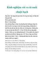 Kinh nghiệm rút ra từ nuôi chuột bạch pot