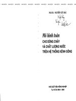 Mô hình tính toán cho dòng chảy và chất lượng nước trên hệ thống kênh sông