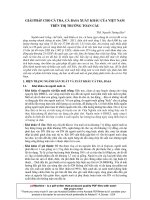 GIẢI PHÁP CHO CÁ TRA, CÁ BASA XUẤT KHẨU CỦA VIỆT NAM TRÊN THỊ TRƯỜNG TOÀN CẦU pptx