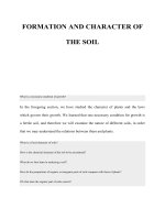 FORMATION AND CHARACTER OF THE SOIL docx