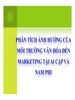 Phân tích ảnh hưởng của môi trường văn hóa đến marketing tại Ai Cập và nam Phi ppsx