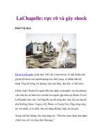 LaChapelle: rực rỡ và gây shock potx