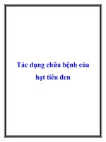 Tác dụng chữa bệnh của hạt tiêu đen pot