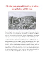 Các biện pháp giảm phát thải bao bì nilông khó phân hủy tại Việt Nam potx