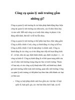 Công cụ quản lý môi trường gồm những gì? docx