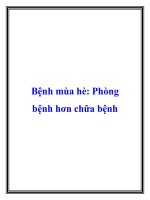 Bệnh mùa hè Phòng bệnh hơn chữa bệnh pptx