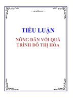 tiểu luận  nông dân với quá trình đô thị hóa