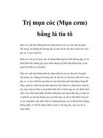 Trị mụn cóc (Mụn cơm) bằng lá tía tô docx