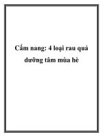 Cẩm nang: 4 loại rau quả dưỡng tâm mùa hè pptx