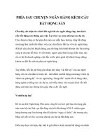 PHÍA SAU CHUYỆN NGÂN HÀNG KÍCH CẦU BẤT ĐỘNG SẢN pdf