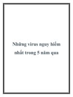 Những virus nguy hiểm nhất trong 5 năm qua pot