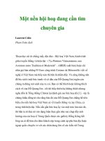 Một nền hội hoạ đang cần tìm chuyên gia ppt
