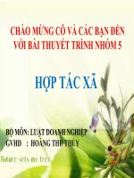 Hợp tác xã pot