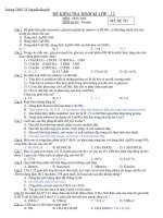 đề kiểm tra tự luận