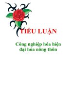 tiểu luận ''''công nghiệp hóa hiện đại hóa nông thôn''''