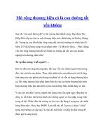 Mở rộng thương hiệu có là con đường tất yếu doc