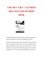 CHU ĐỨC TIẾN - CÂY BIẾM HỌA NGỒ NGỘ MÀ HÓM HỈNH pot