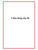 Chân dung sếp tồi pptx
