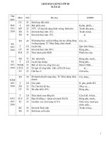 GAL2 TUAN 25 CKTKN (TAN)