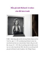 Đấu giá ảnh Richard Avedon: còn đắt hơn tranh potx