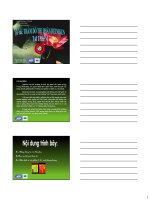 Đề Tài: Thăm dò thị Phần Heiniken tại Tp.HCM ppt