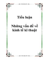 Những vấn đề về KTTT pps