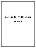 Cây chó đẻ – Vị thuốc quý của gan doc