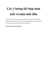 Các ý tưởng kết hợp màu mắt và màu môi sẫm doc