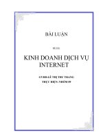 ĐỀ TÀI:KINH DOANH DỊCH VỤ INTERNET pdf