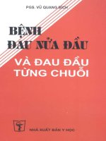 BỆNH ĐAU NỬA ĐẦU VÀ ĐAU ĐẦU TỪNG CHUỖI potx