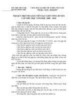 Nội quy Hội thi Giáo viên dạy giỏi cấp tiểu học năm học 2009-2010