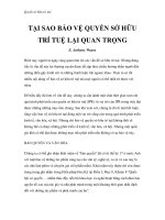 quyền sở hữu trí tuệ - tại sao bảo vệ quyền sở hữu trí tuệ lại quan trọng