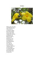 VÈ CÁC LOÀI HOA VÀ RAU