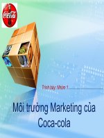 môi trường marketing của coca-cola