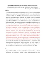 tình hình đề kháng ks cảu s aureus