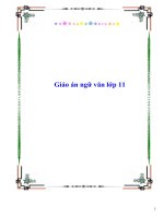 Giáo án ngữ văn lớp 11