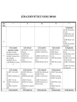 KE HOACH NAM HOC 2009-2010 MON MI THUAT TIEU HOC