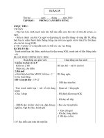 GA chuẩn KTKN lớp 5 : Tuần 25-25