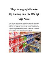 thực trạng nghiên cứu thị trường của các dn tại việt namt