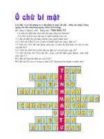 Ô chữ tổng kết cho bài 