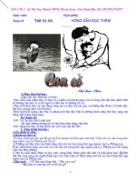 NV9 Thanh YB tuần 23,24(có ảnh minh hoạ)