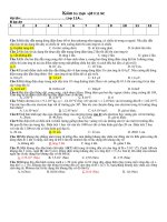 kiem tra 15ph phan tu truong