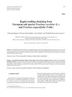 báo cáo khao học  'rapid seedling obtaining from european ash species fraxinus excelsior (l.) and fraxinus angustifolia (vahl.)'