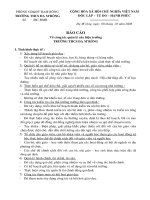 Mau BC thanh tra toan dien (mau 4)