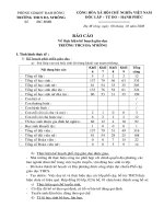 Mau BC thanh tra toan dien (mau 3)