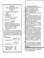 Hướng dẫn cờ đỏ