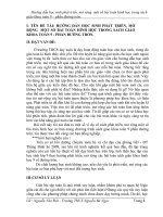 TKKN phát triển, mở rộng bài toán Hình học