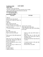 TNXH TUẦN 27: CON MÈO