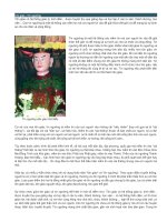 Tôn giáo - Tín ngưỡng